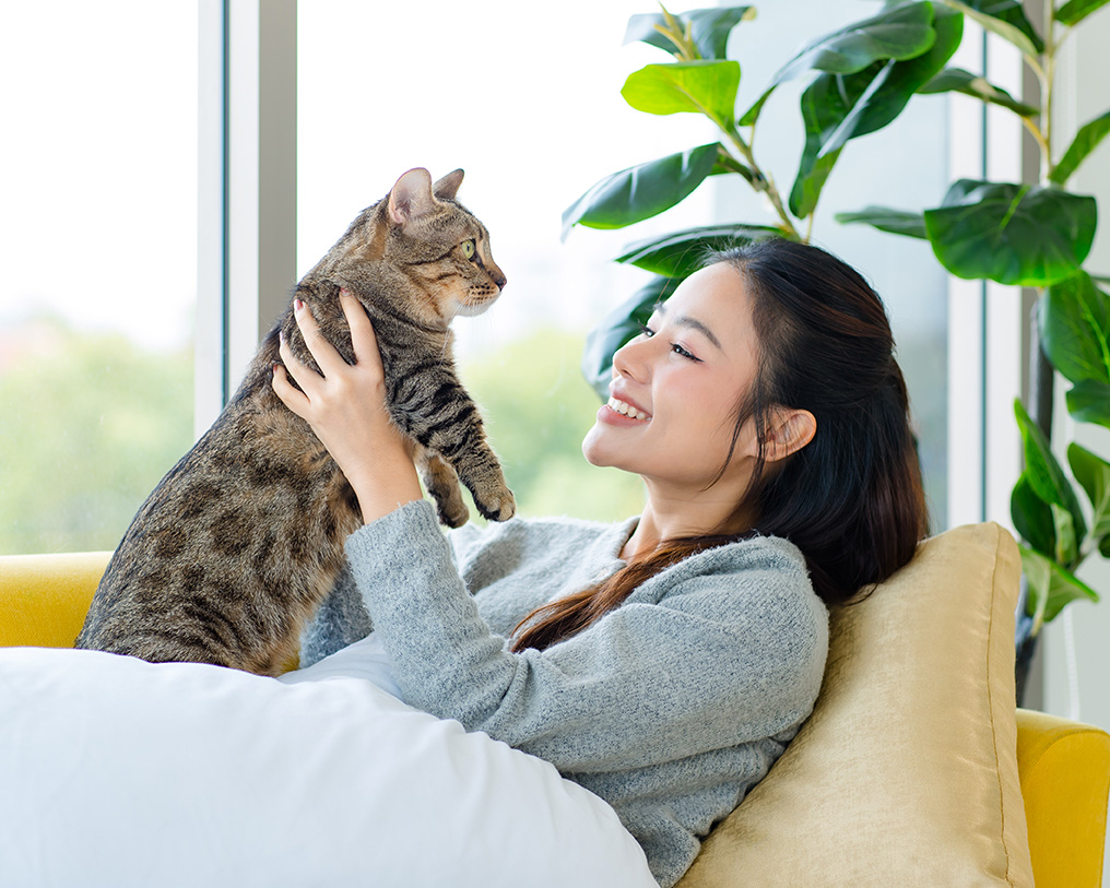 Young Asian woman holding a cat in her apartment; Therapy for the AAPI community in California